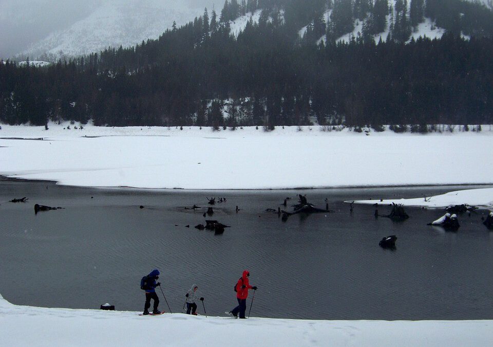 Police to Stop Search for Missing Snowshoers Off Vancouver’s North Shore