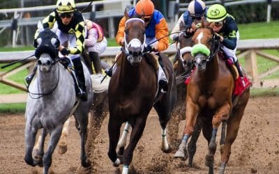 Melbourne Cup: The Mind Blowing Numbers Behind Australia’s Showcase Race