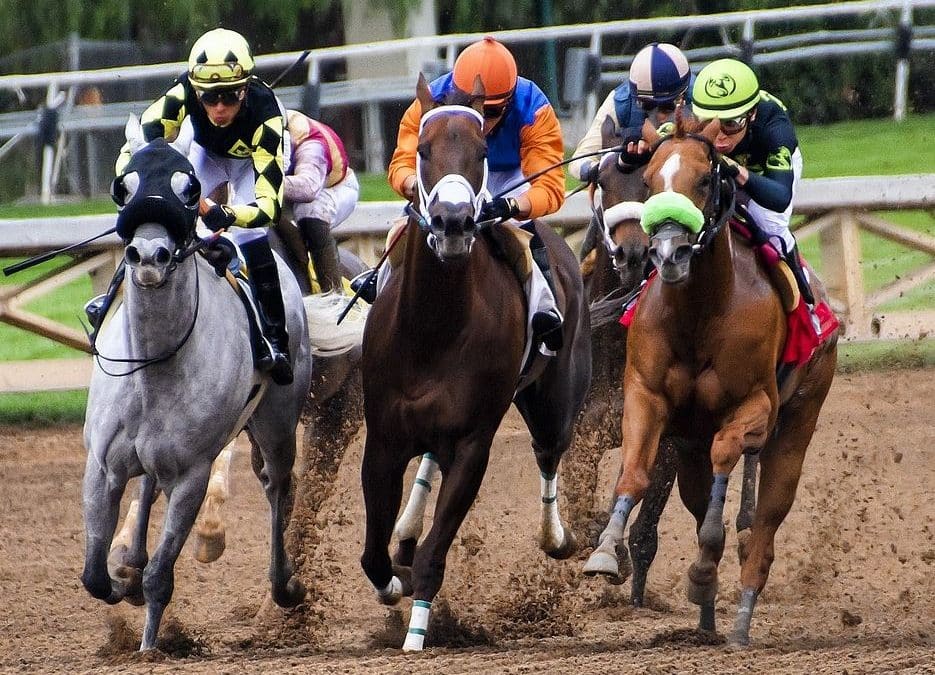 Melbourne Cup: The Mind Blowing Numbers Behind Australia’s Showcase Race