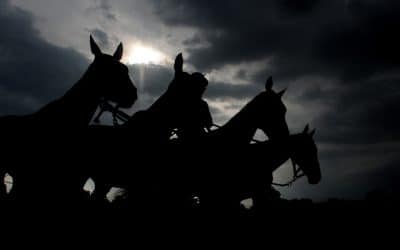 The Last Five Winners Of The Queen Mother Champion Chase