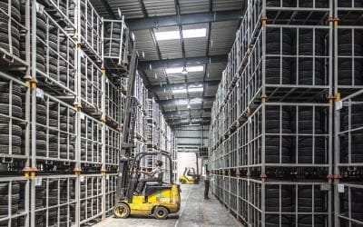 The Fatal Accident at the Amazon Job Site: What Does It Teach Us about Work Injuries?