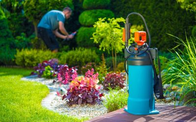 A Guide to Protecting Your Home Against Springtime Pests