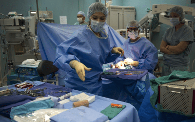 2023’s Best & Worst States for Nurses – WalletHub Study