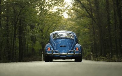 Race and Ethnicity Inequality in US Car Accident Statistics