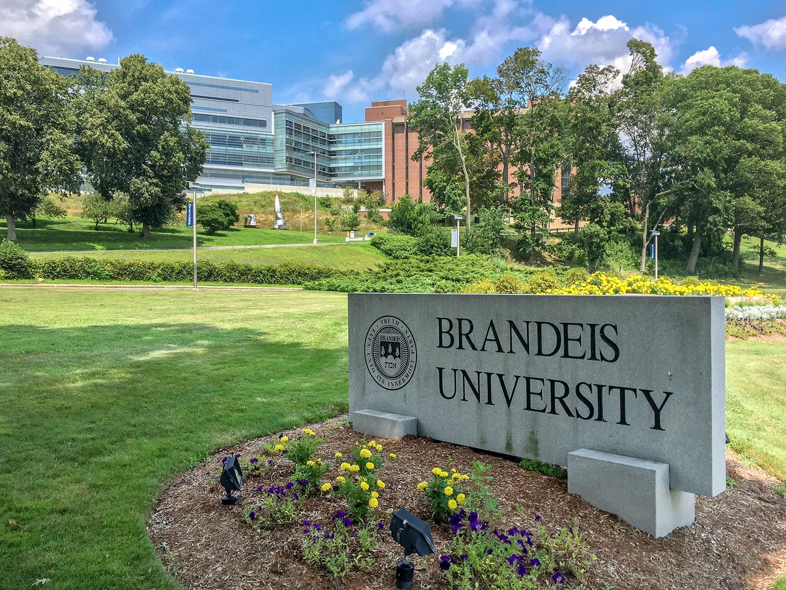 Brandeis University Bans Campus Chapter Of Students For Justice In   Brandeis University Bans Campus Chapter Of Students For Justice In Palestine 