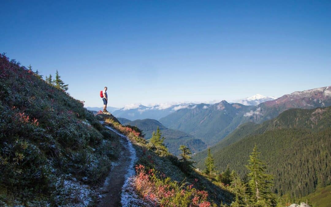 England, France or Switzerland: Where to go on your next walking holiday